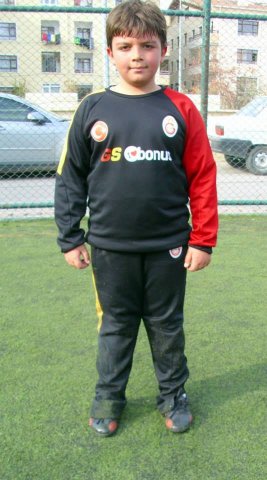 Lowen Geboren in 2003-2004-4